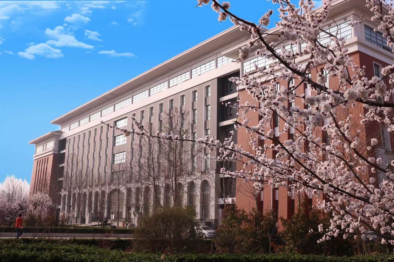总访问量